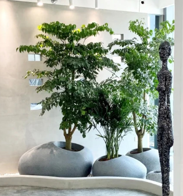 C-mantha Gray Planters