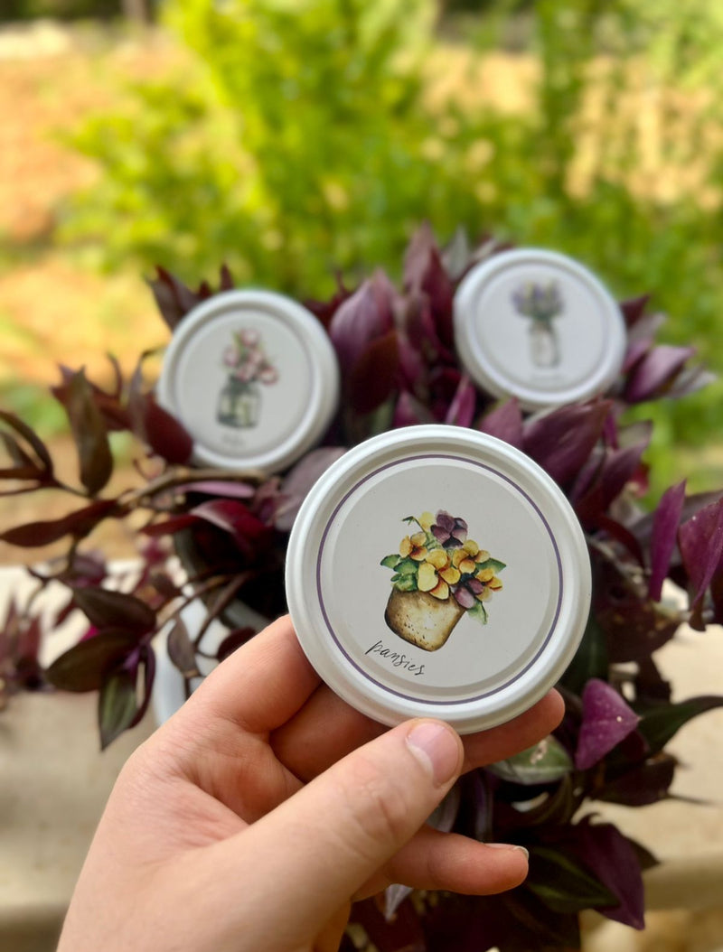 PantryPerfect Jar Lid Set